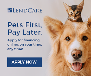 Lend Care Banner